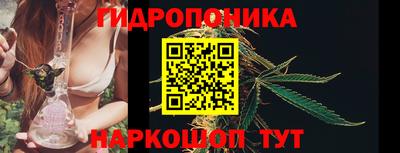 mix Можга