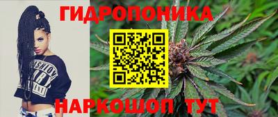 прущие крисы Моздок