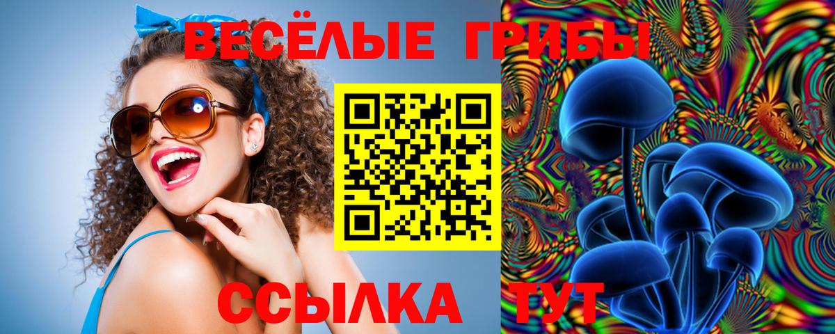 Гурьевск  Галлюциногенные грибы Cubensis  Вход с VPN 